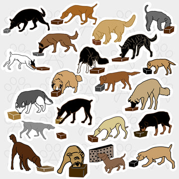 SCENTWORK STICKER